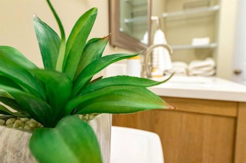 a green plant sitting on the counter of a bathroom at The robin nest a cozy cottage on historic main street in St. Charles