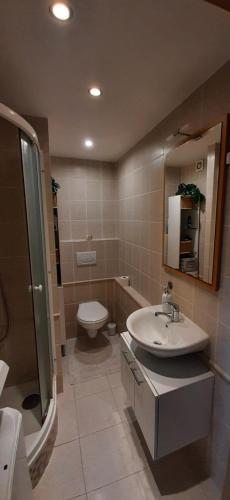 La salle de bains est pourvue d'un lavabo, de toilettes et d'un miroir. dans l'établissement Apartment Kamýk, à Prague