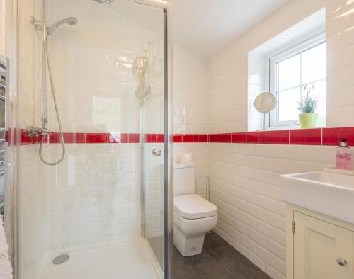a bathroom with a shower and a toilet and a sink at Beehive Cottage in Port Isaac