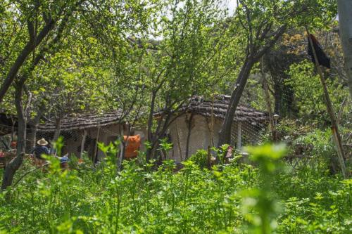 una casa vieja en medio de un bosque en Le Sommet Naturel en Xauen