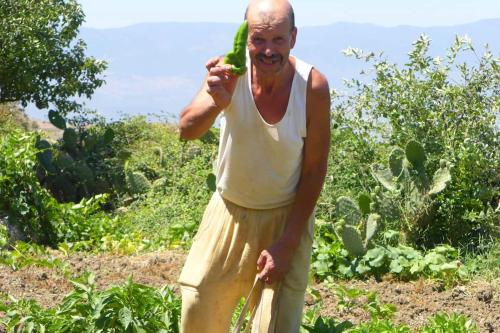 a man talking on a cell phone while holding a banana at Le Sommet Naturel in Chefchaouene