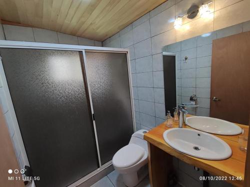 a bathroom with a shower and a toilet and a sink at cabaña vista nilahue in Ranco
