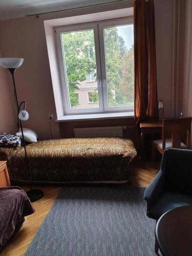 um quarto com uma cama e uma grande janela em Stary Mokotów, blisko metra em Varsóvia