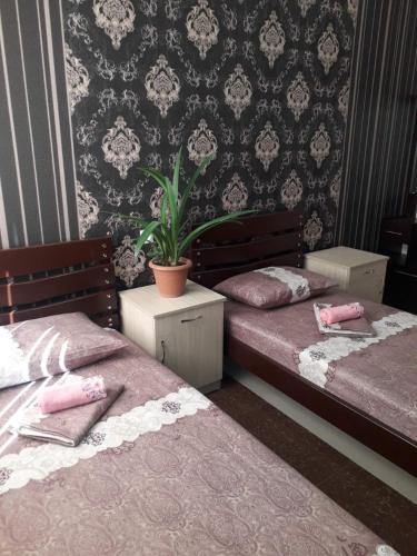 ein Schlafzimmer mit 2 Betten und einer Topfpflanze in der Unterkunft ERA Hotel in Gjumri