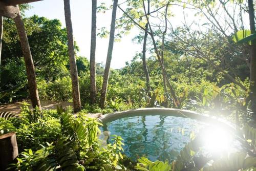 Eco chic jungle retreat – Photos 4