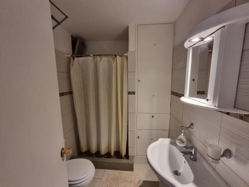 een badkamer met een douche, een toilet en een wastafel bij SANTOS DUMONT in Punta del Este