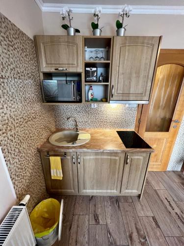 a kitchen with a sink and a microwave at Penzion Zrzka in Kořenov