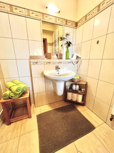a bathroom with a sink and a mirror at Penzion Zrzka in Kořenov