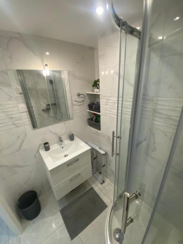 uma casa de banho branca com um lavatório e um chuveiro em Studio sur avenue jean médecin à Nice em Nice