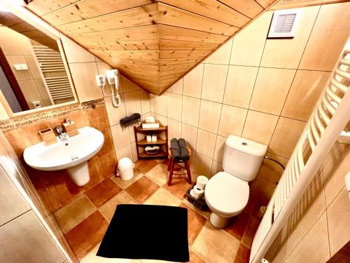 een kleine badkamer met een toilet en een wastafel bij Penzion Zrzka in Kořenov