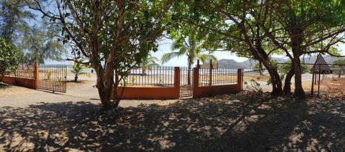 a fence with trees in front of a field at cabañas playa guanico in Tonosí