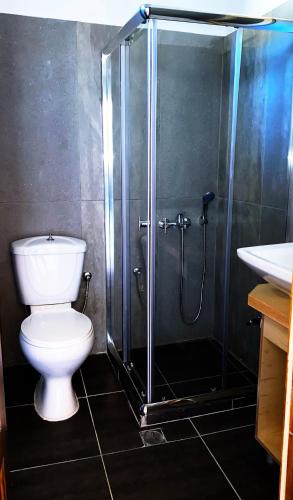 a bathroom with a shower with a toilet and a sink at Tetrapolis cottage in Karpathos