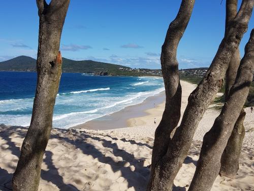 a view of a beach from between two trees at CHILL-OUT BEACH HOUSE - One Mile Beach in Forster