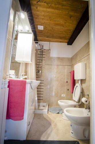a bathroom with a sink and a toilet at Carrerapiana Apartments in Pigna