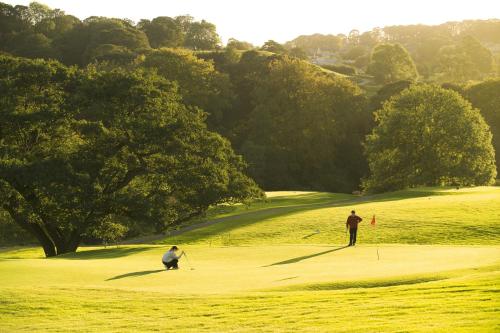two people playing golf on a golf course at Hollins Hall Hotel, Golf & Country Club in Bradford