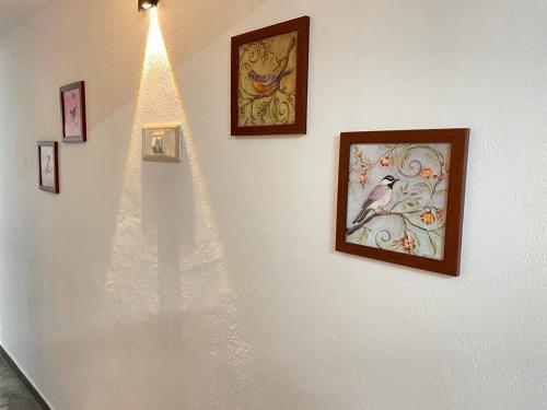 a wall with two pictures and a bird on it at WHITE HOUSE - 3BHK Elite Apartment in Coimbatore