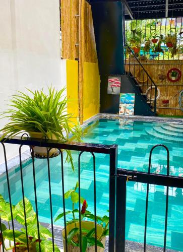 a swimming pool with a fish in the water at An Bang Sea Adventure Homestay Hoi An in Hoi An
