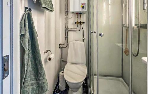 a small bathroom with a toilet and a shower at Stunning Home In Ronneby With Wifi in Ronneby