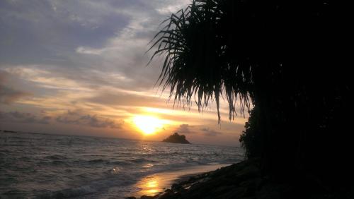 a sunset over the ocean with a palm tree at Sundance Surf Coconut Point in Weligama