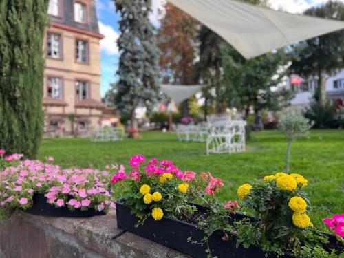 a group of flowers in a garden with an umbrella at Hôtel Le Manoir in Barr