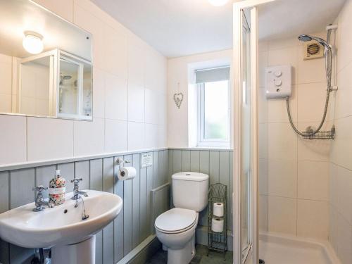 a bathroom with a toilet and a sink at Curlew Cottage in Bromlow