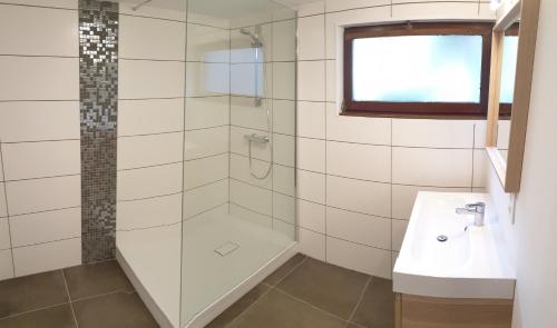 La salle de bains est pourvue d'une douche et d'un lavabo. dans l'établissement Chez Djywaii, à Huy