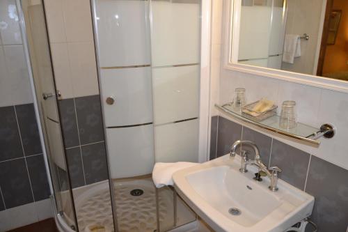 een badkamer met een douche en een wastafel bij Hotellerie de l'Esplanade in Rians