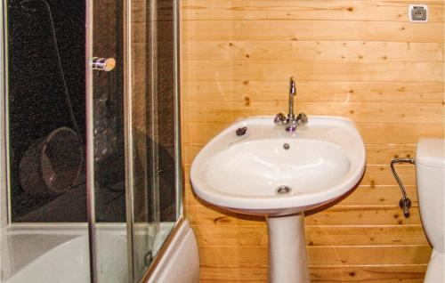 ein Bad mit einem Waschbecken, einer Dusche und einem WC in der Unterkunft 2 Bedroom Pet Friendly Home In Karwienskie Blota in Karwieńskie Błoto Pierwsze