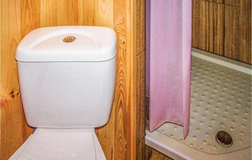 a white toilet in a bathroom with a shower at Stunning Home In Osieki With Kitchenette in Osieki