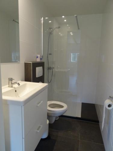 a bathroom with a sink and a toilet and a shower at de Tulp in Noordgouwe