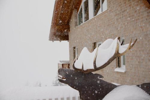 a moose statue in the snow in front of a building at Zum Hirsch in Riefensberg