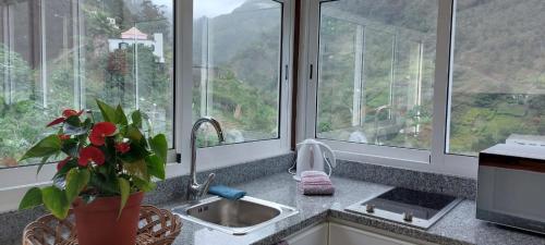 uma cozinha com um lavatório e um vaso com uma planta em Garden of Celestial Delights 3 em Santana