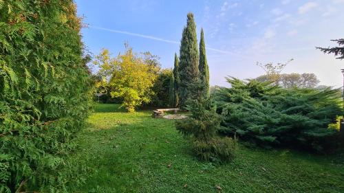 Gallery image of Chalupa Albrechtice nad Orlicí in Albrechtice nad Orlicí