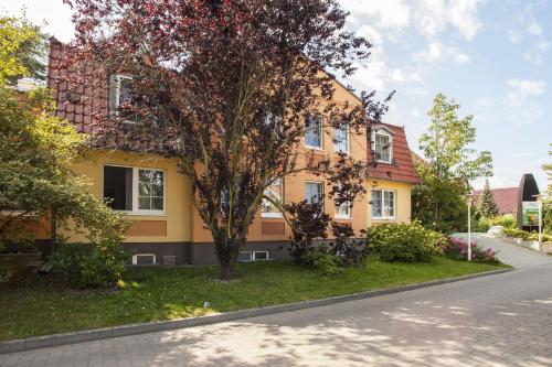 a yellow house with a tree in front of it at Hotel Zum Leineweber in Burg