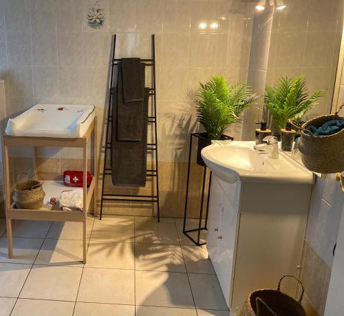 een badkamer met een wastafel en een spiegel bij Le cocon d'Emma in Sélestat