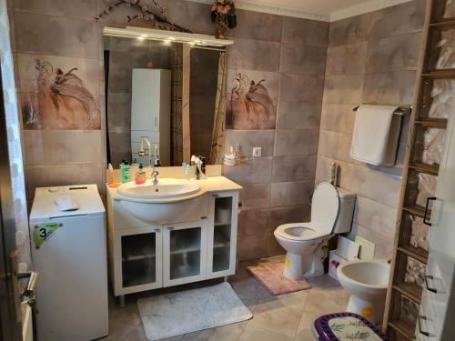 a bathroom with a sink and a toilet and a mirror at Vila Sabina ,cu jacuzzi și grătar in terasa exterioara in Satu Mare