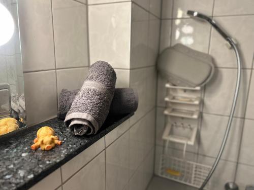 Koupelna v ubytování Parkplatz, Einzelbetten, 2 x 55 Zoll TVs, Balkon, Glasfaser Wi-Fi 1000 Mbit, Homeoffice