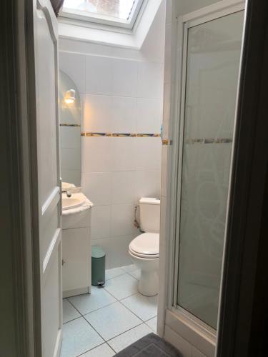 uma casa de banho com um WC, um lavatório e um chuveiro em la Belle Seine em Samois-sur-Seine