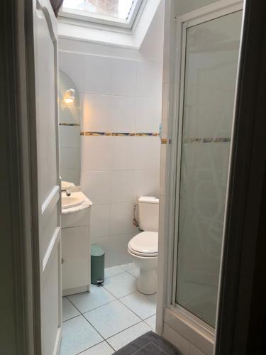 une salle de bain avec toilettes, lavabo et douche dans l'établissement la Belle Seine, à Samois-sur-Seine