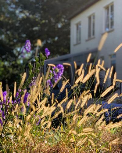 a group of chairs and purple flowers in front of a house at Hotel Au Nom De Dieu in Dilsen-Stokkem