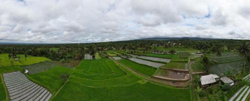 an aerial view of a farm with green grass at Green Haven Homestay in Tetebatu
