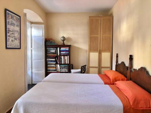 a bedroom with a large bed and a book shelf at Apartamento El Parque in Luarca