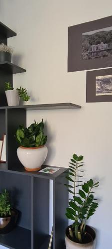 Φωτογραφία από το άλμπουμ του Ioana Apartment Resita σε Reşiţa