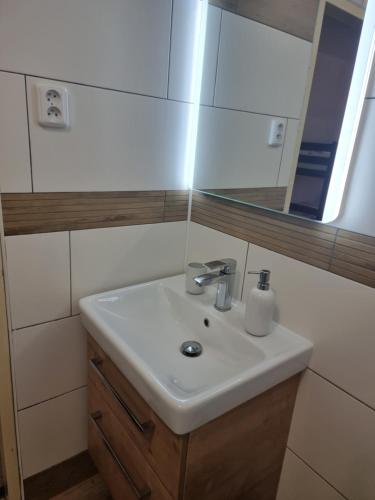 a bathroom with a sink and a mirror at Penzion U Skály in Kytlice