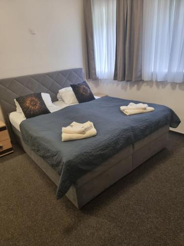 Postel nebo postele na pokoji v ubytování Penzion U Skály