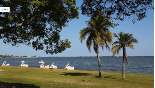a group of palm trees and chairs by the water at Casa em Condomínio com Piscina Privativa in Araruama