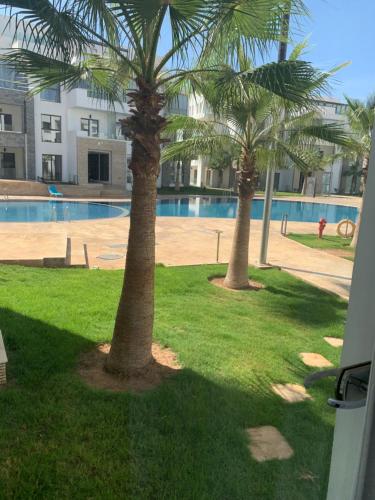 2 palmiers dans l'herbe près d'une piscine dans l'établissement Hivernage, agadir bay, beach, pool, modern apartment, à Agadir