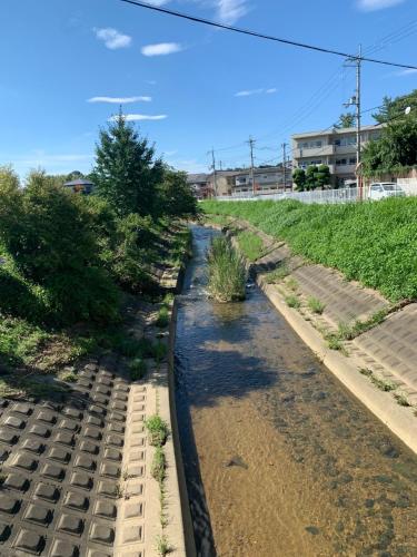 a stream of water in a garden at 宿や　サニービレッジ in Kashihara