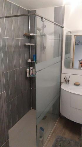 une salle de bain avec une douche en verre et un lavabo dans l'établissement 2 places 24 H Enceinte générale OFFERTES Maison au calme à proximité du circuit, au Mans