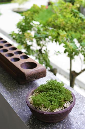 two plants in a pot sitting on a ledge at CERIA HOTEL at Alun Alun Yogyakarta in Yogyakarta
